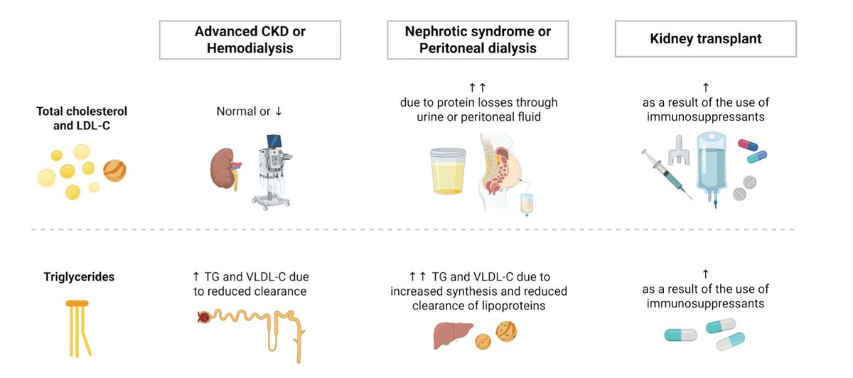NephroNook's tweet photo. Dyslipidemia in Chronic Kidney Disease 
#Nephrology #CKD 
https://t.co/EqurGpGQOk https://t.co/bApbIw27gf