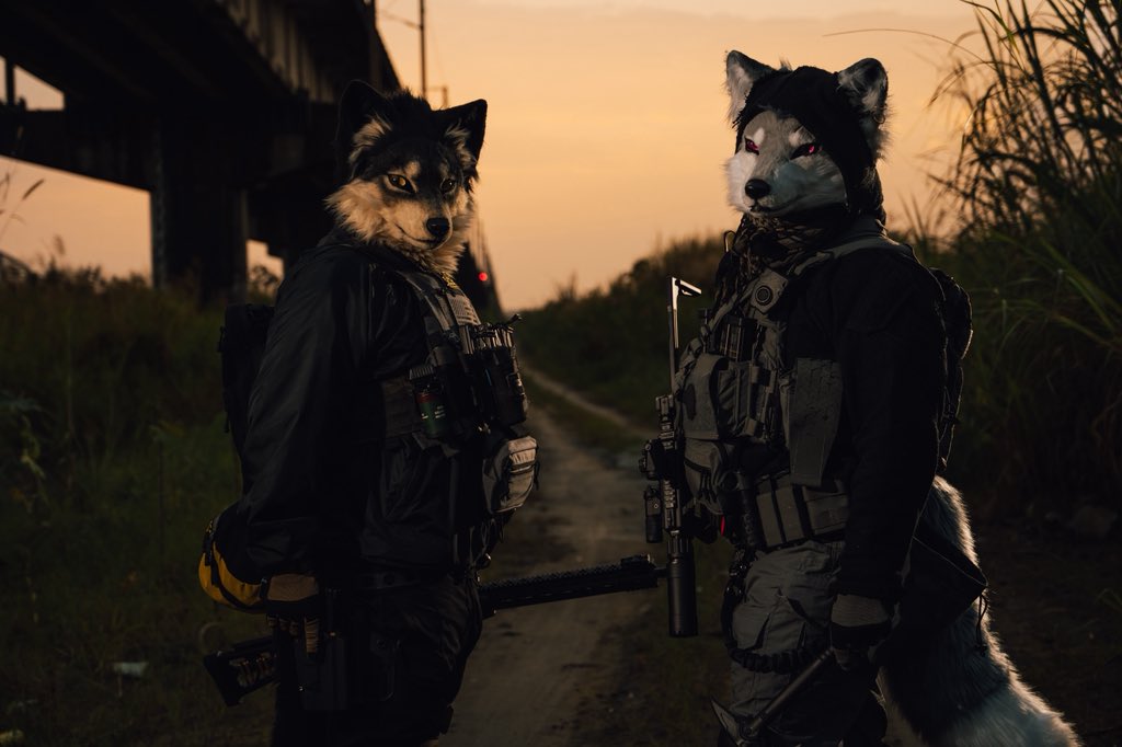 chiuwolf's tweet photo. Get the job done🐺🌅

📸 @racoonwolf 

#WerewolvesWednesday
#FursuitsEveryday 
#創造トリアノン https://t.co/OSHrKJNVdE