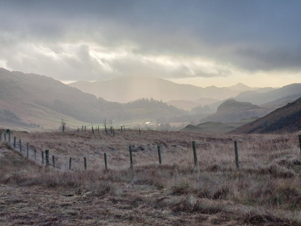 Restoring Hardknott Forest tweet media