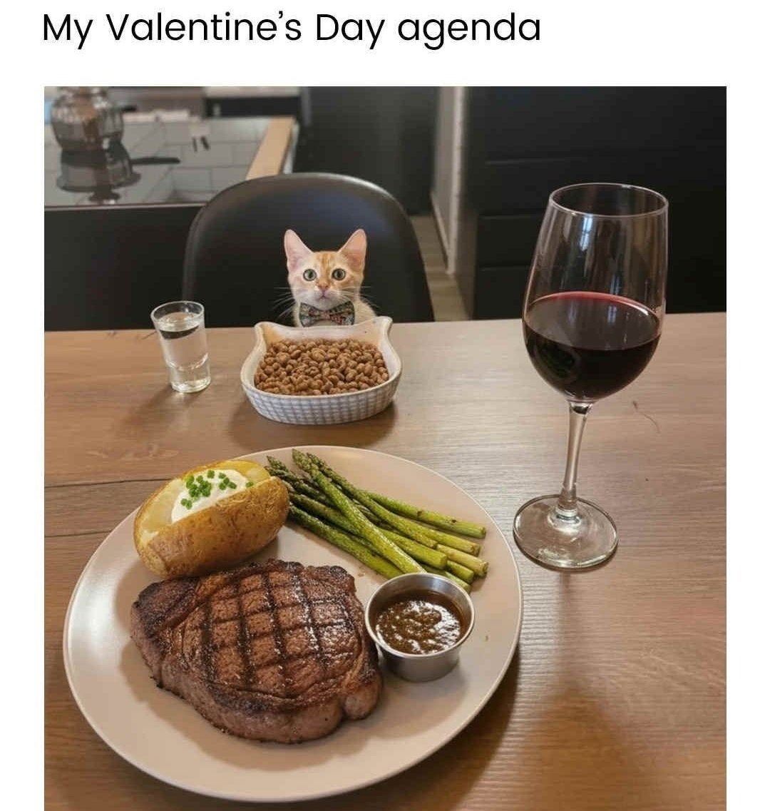 Catsillyness's tweet image. 