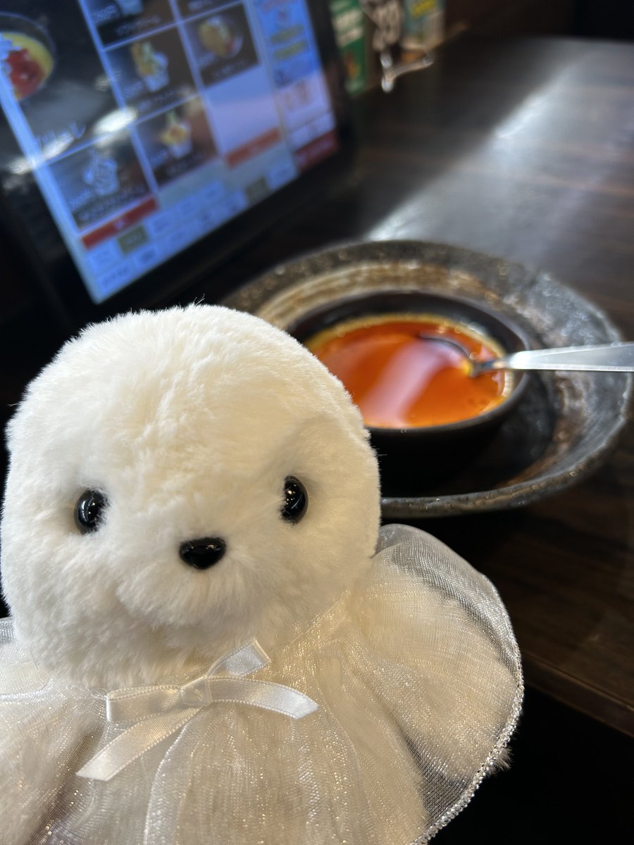 🌏アザラシのおっさん🔥🍮 (@mrbknkwii) / Posts / X