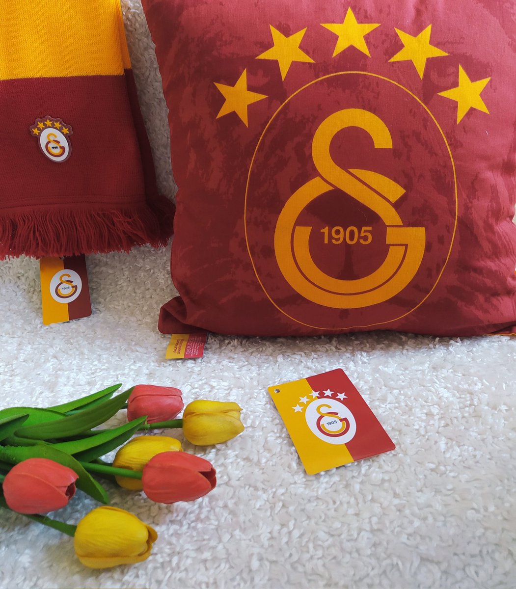 Devenizi ayrı,filinizi ayrı s*kim. Biz tek, siz hepiniz.Tek aşk 💛❤️ #GalatasaraySK #GSvİST Size rağmen #MayıslarBizimdir