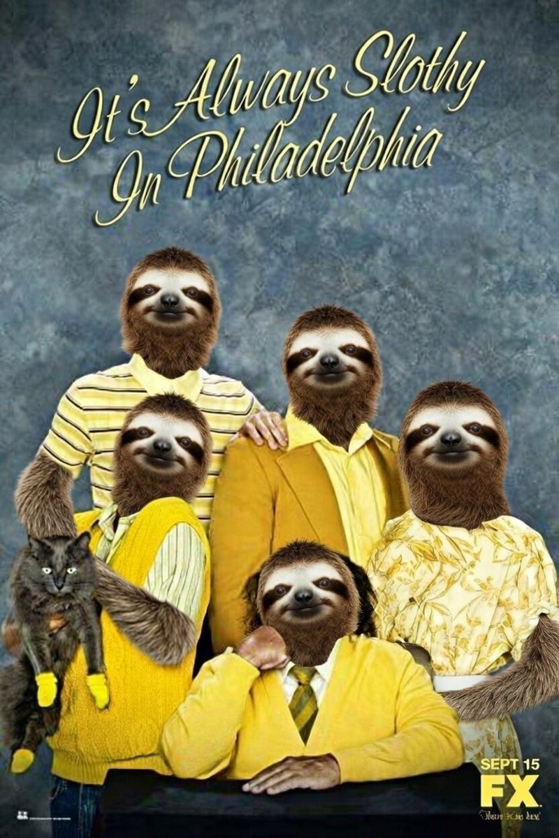 Sloth tweet media