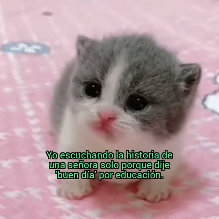 This Charming Cap (@briagowsky) on Twitter photo 