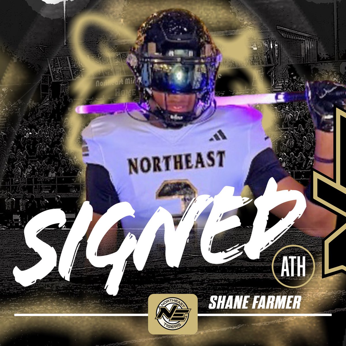 Northeast Tigers tweet media