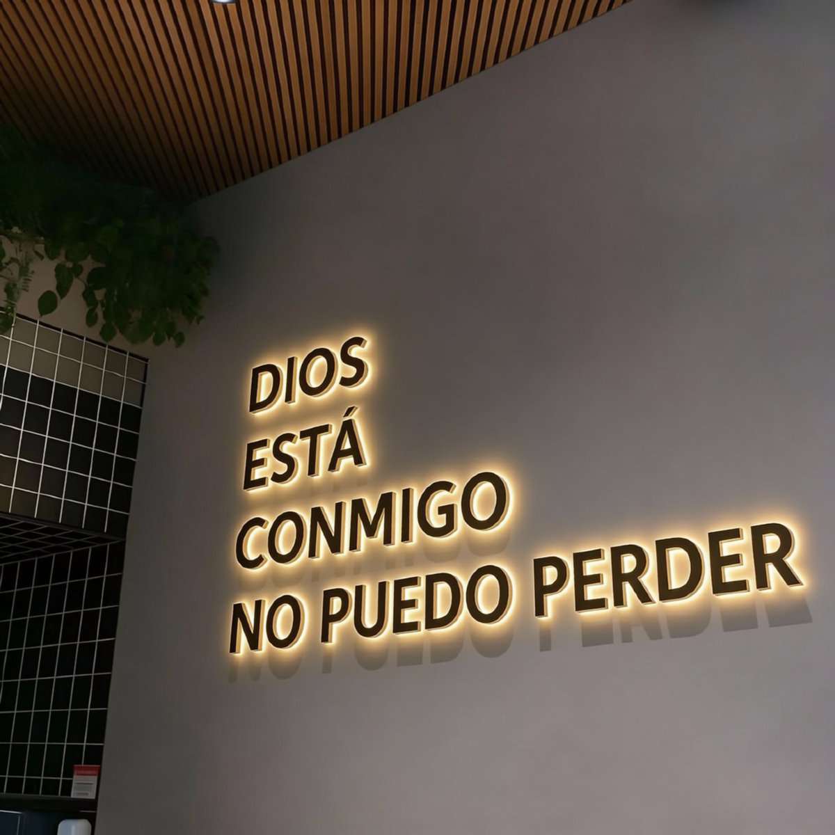 Ojo al Cielo (@ojoalcielo_) on Twitter photo 