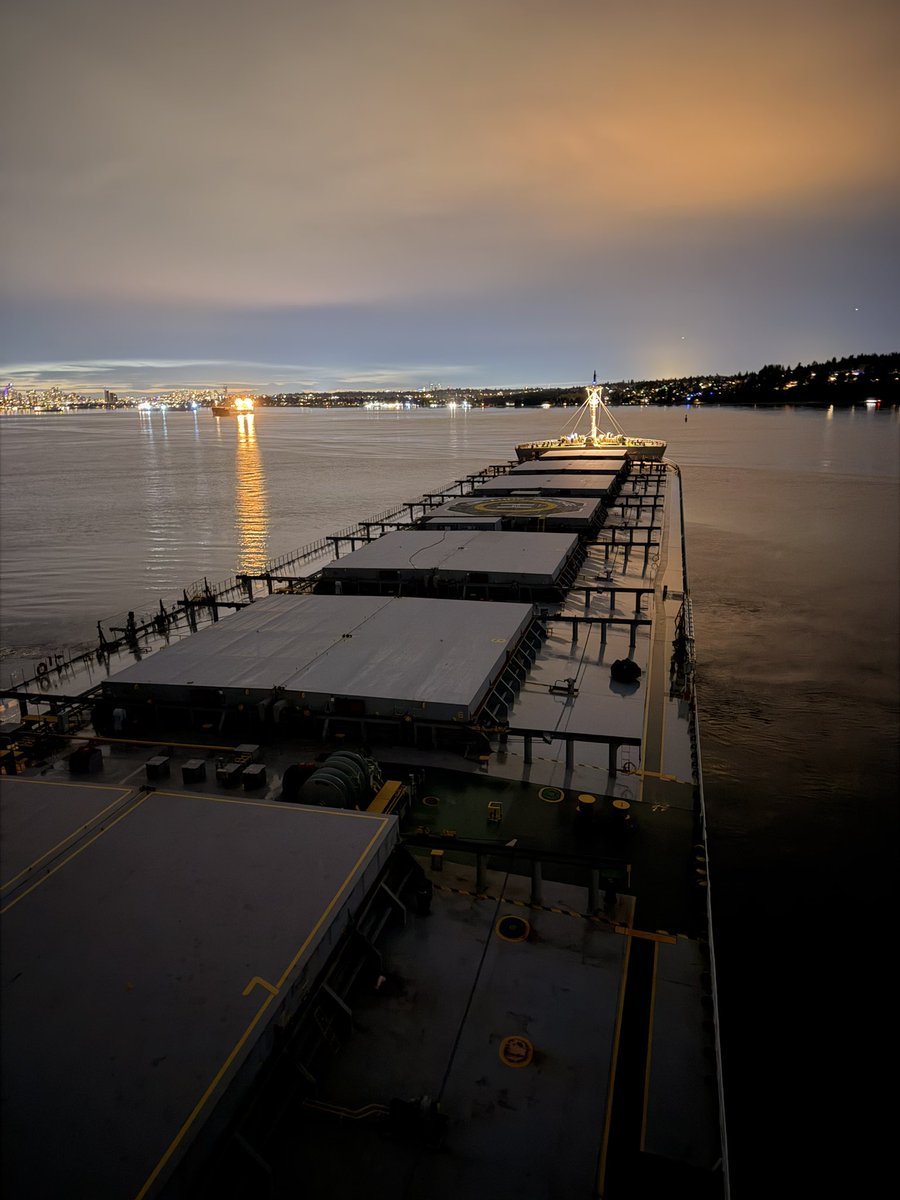 Dave Willows 🇨🇦 tweet media