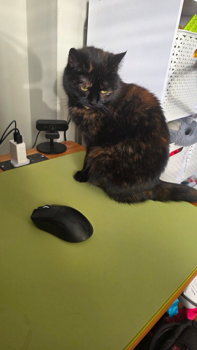 LOG_PILE tweet media