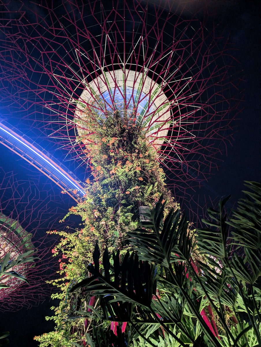 643photography's tweet photo. At the root of it all - Super tree grove - Marina Bay, Singapore https://t.co/WWc5YLeKt9