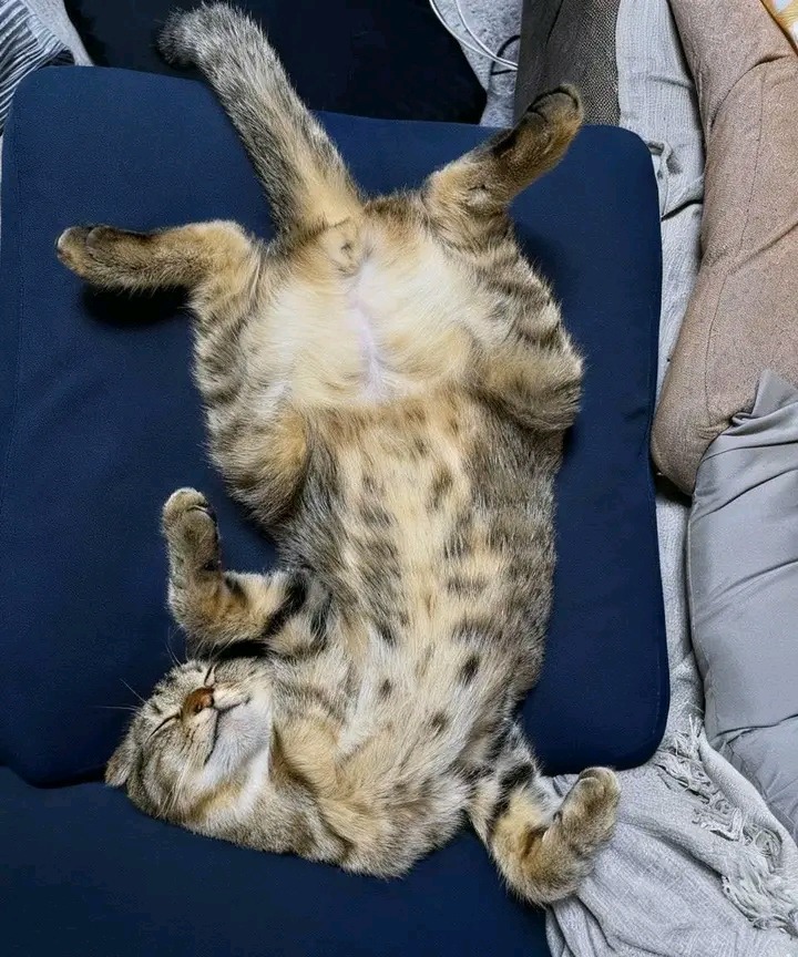 Selene  🖤Perfectly imperfect 🖤 tweet media