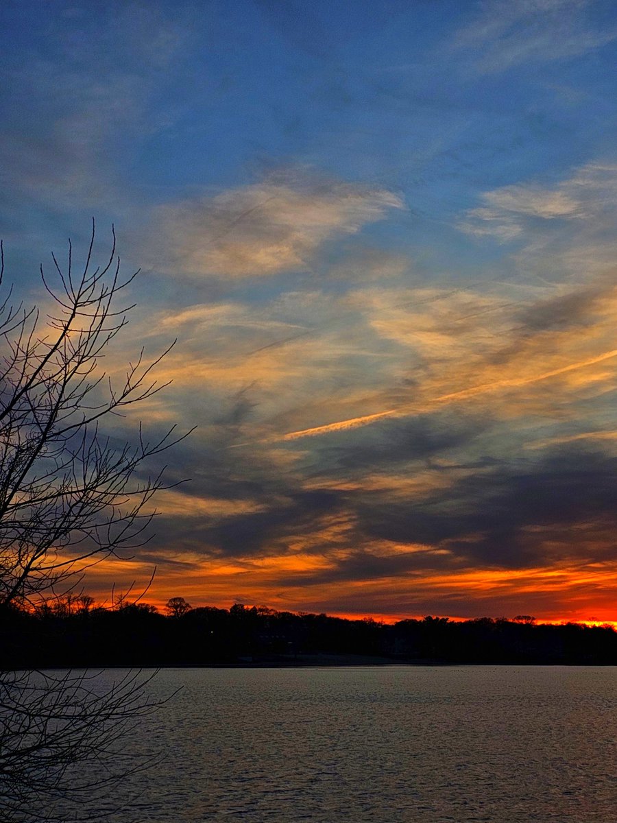 birdsong tweet media