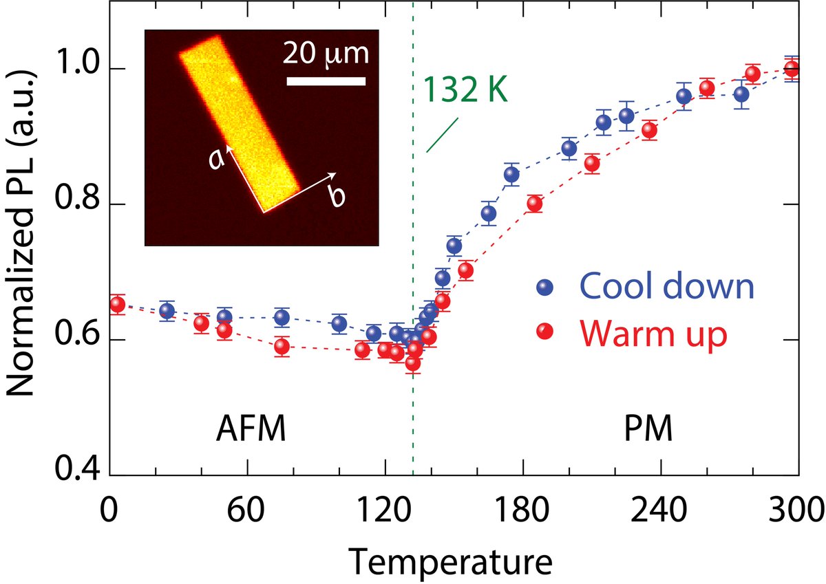 Meriles Lab tweet media