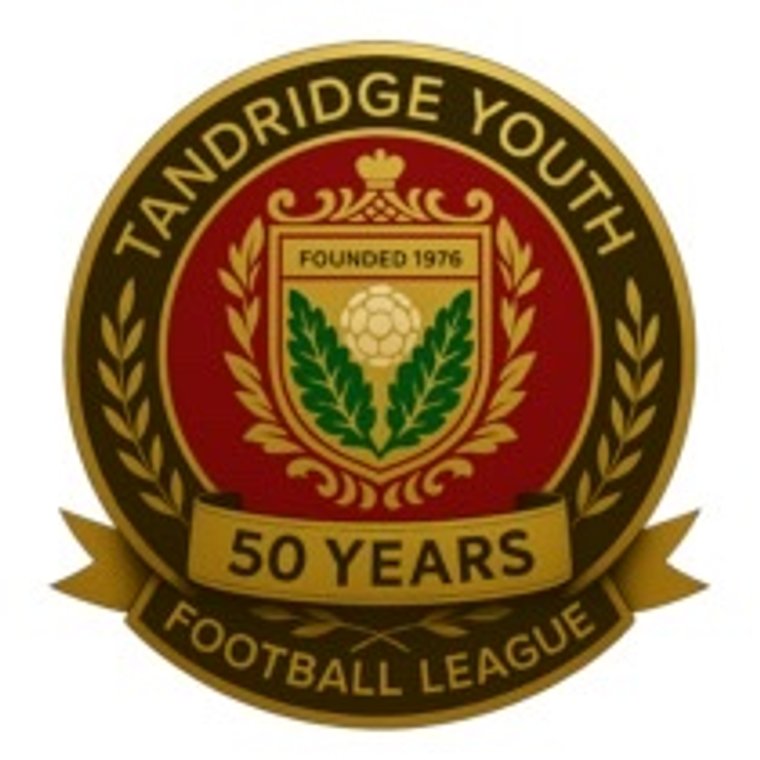 SL Kings Academy & Football Club tweet media