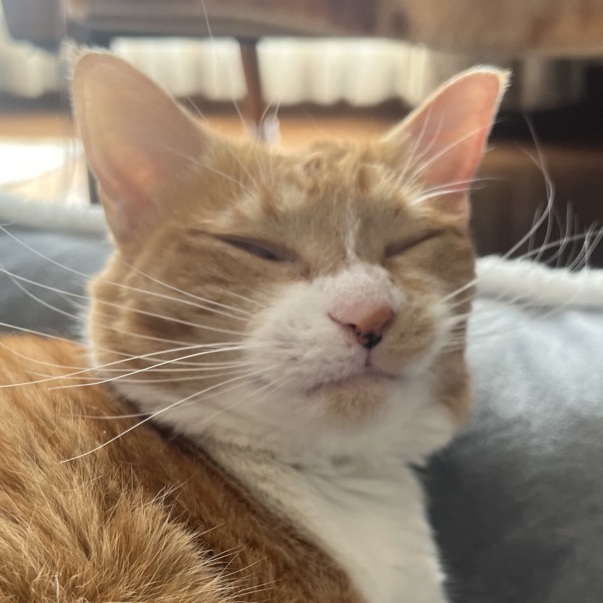 本日もありがとうございましたっ！