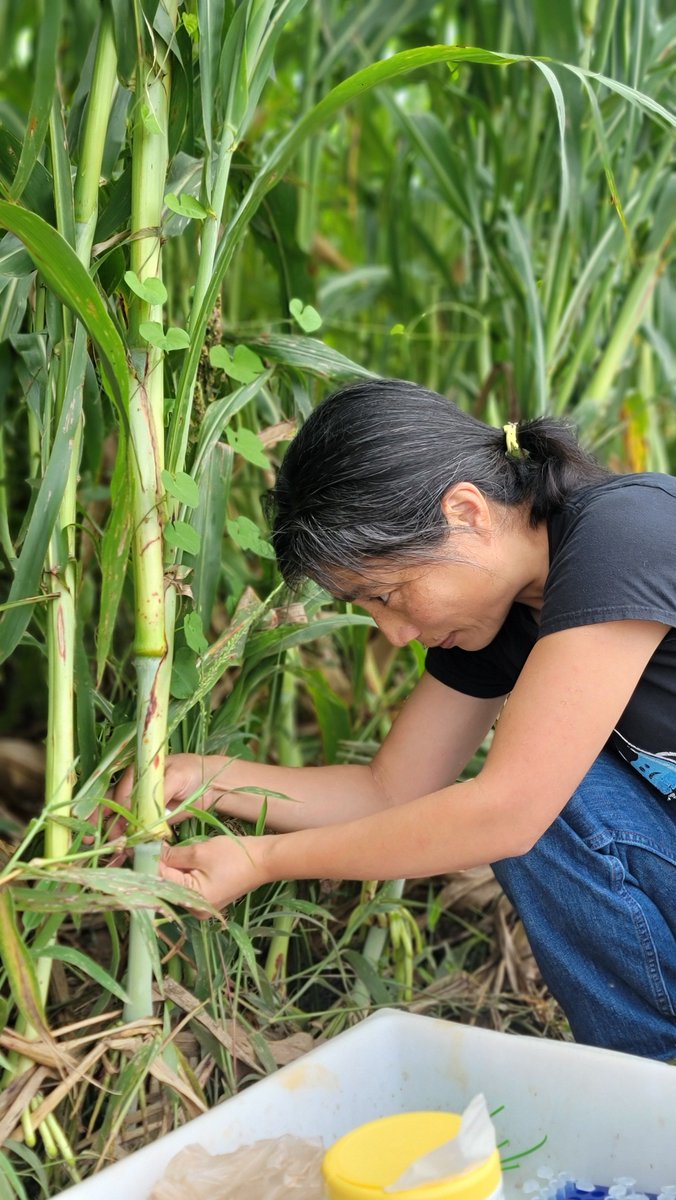 Hood Family Center for GHG Mgmt in Ag & Forestry tweet media