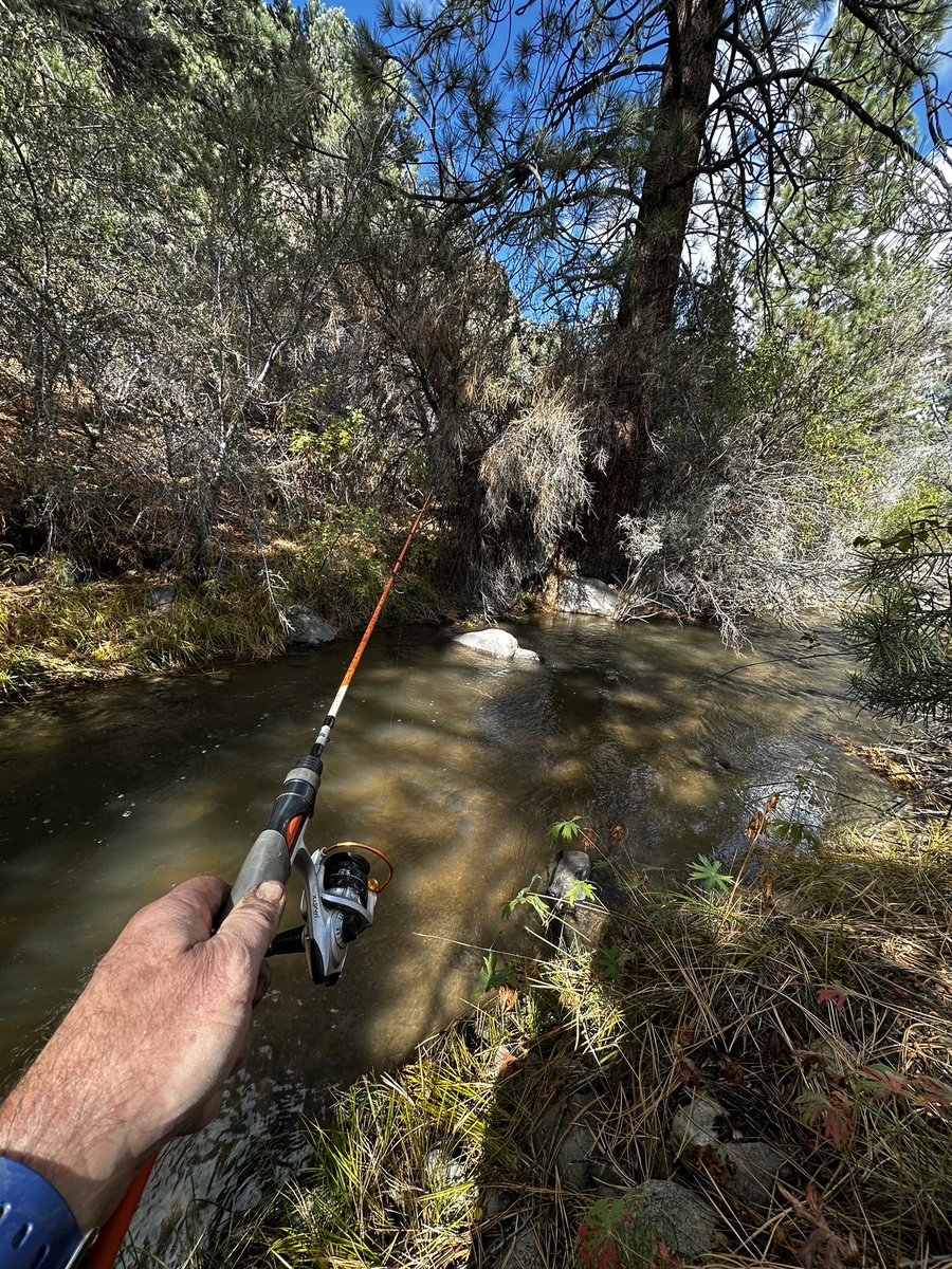 Mike Bales 🫡🇺🇸 tweet media