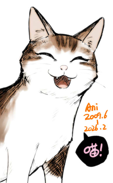 ☢核燃黑猫☢ (@VergilBK) / Posts / X