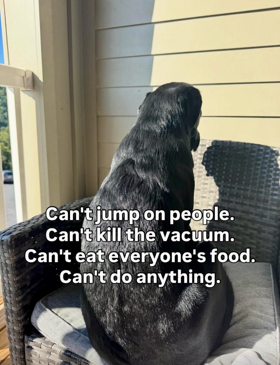 "This house is a prison"