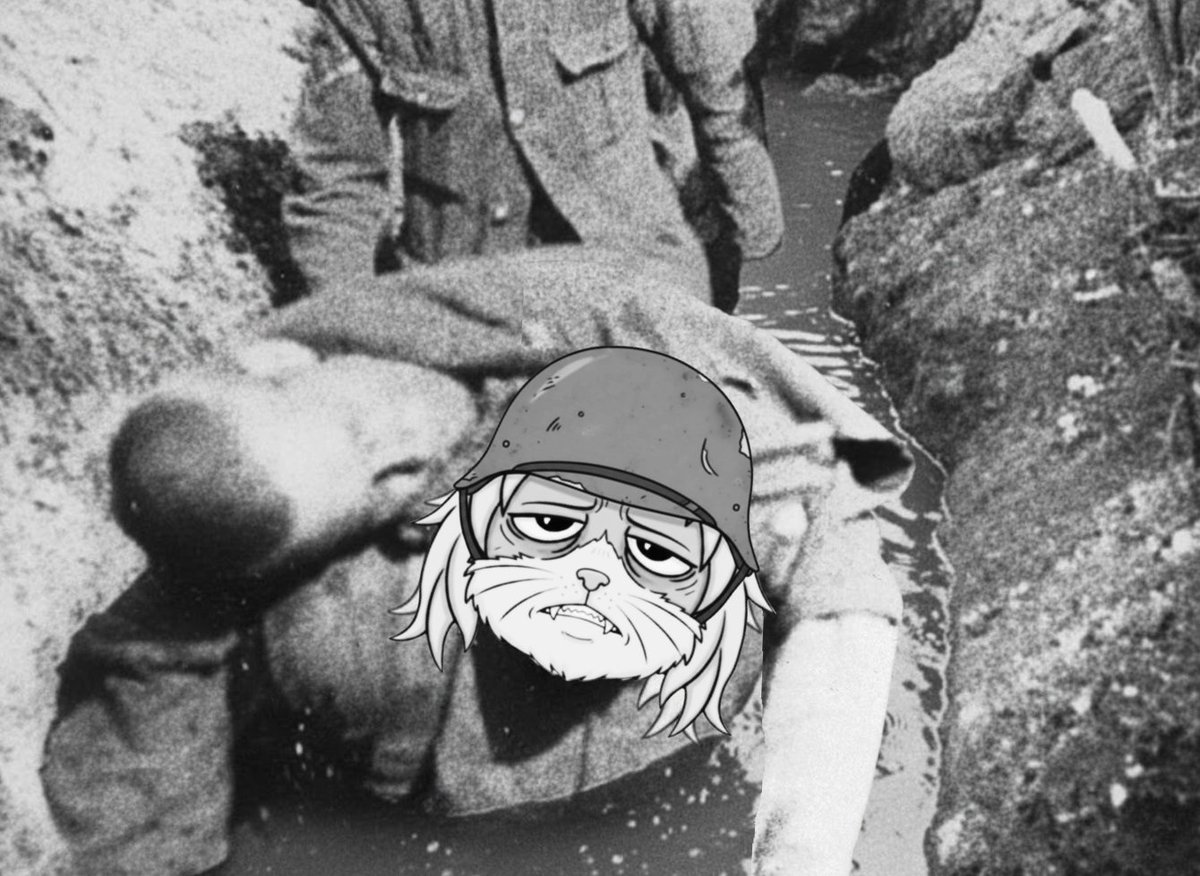 nepo🚬tist tweet media