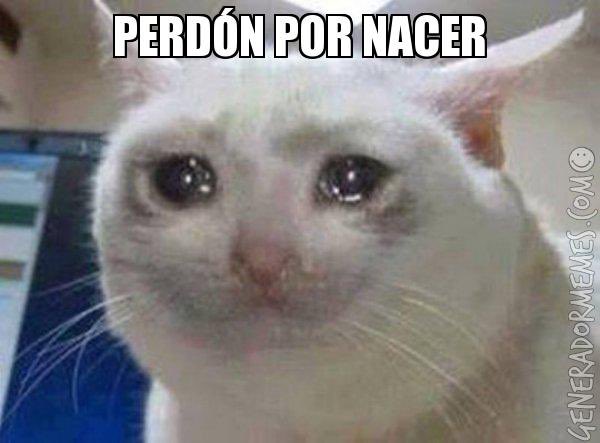 Efren Guerrero Salgado tweet media