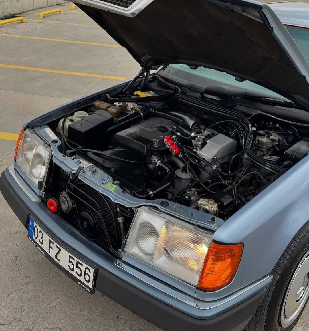 Ivory ✪ tweet media