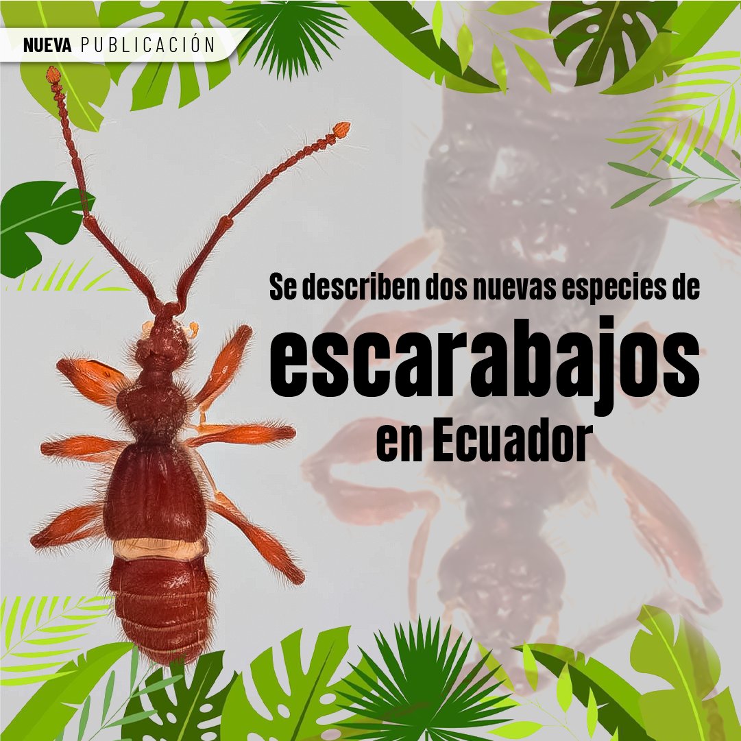 INABIO.EC tweet media