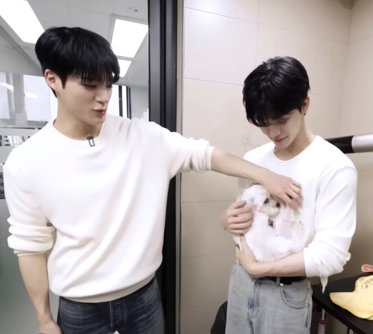 puppyhouselee's tweet image. สิ่งนี้เรียกว่าไส้ดิบของแท้ มึง so big &amp;amp; so ji๋wหลิว