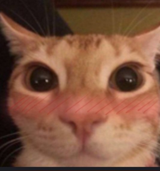 the_misterymask tweet media