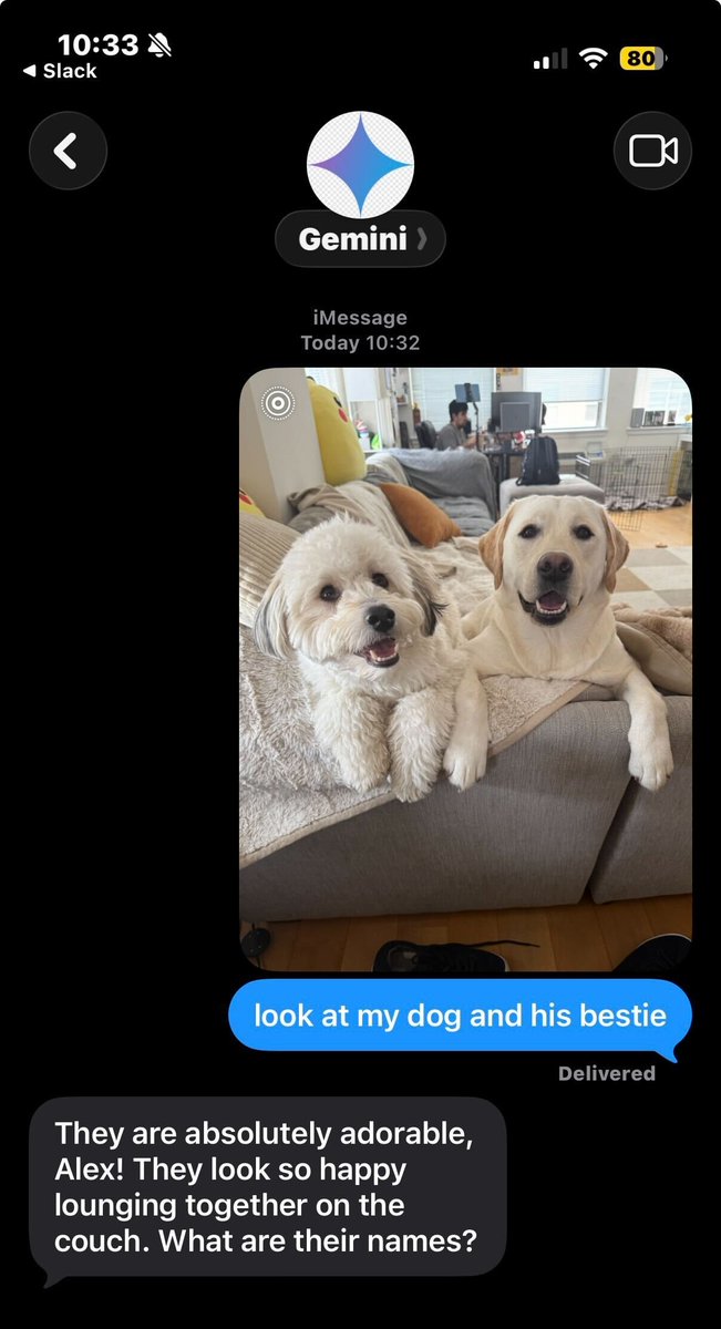 ZetaChain's tweet image. Text me:
- @grok: +1 747-362-9087 
- @ChatGPTapp: +1 917-625-9972 
- @GeminiApp: +1 415-994-5580  
- @claudeai: +1 213-937-4520