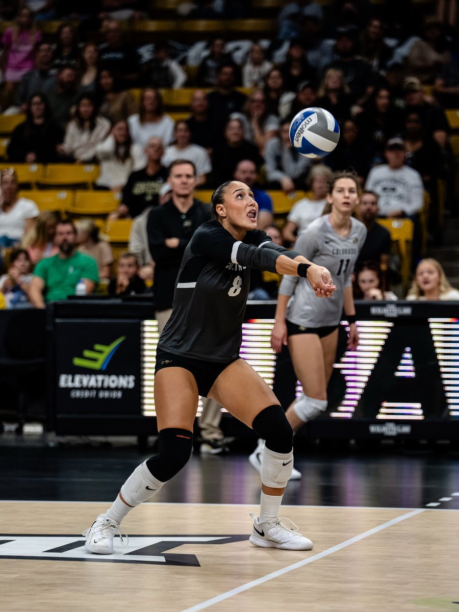 Colorado Buffaloes Volleyball tweet media