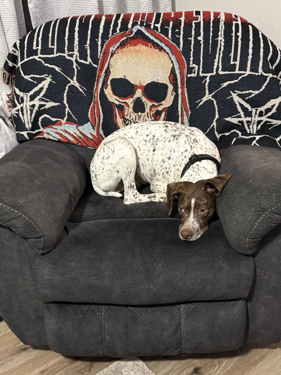 Chris Worstall tweet media