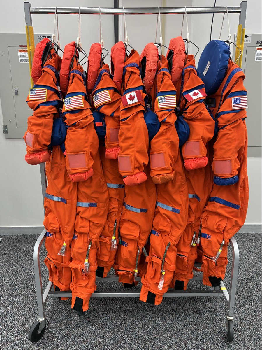 Dr. Jenni Gibbons tweet media