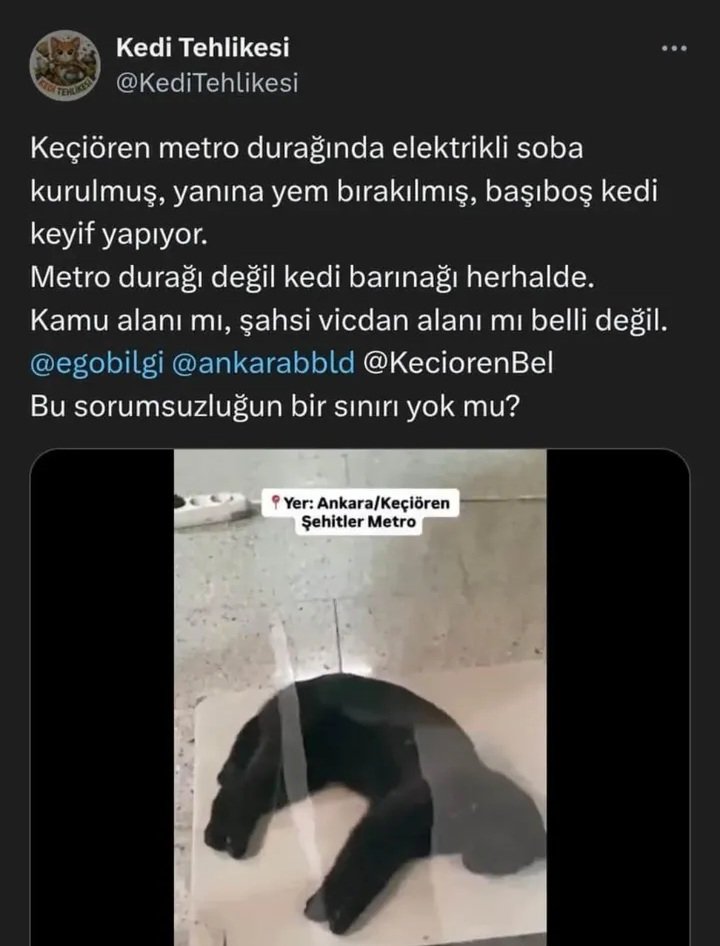 MelekKentmen2's tweet photo. Twitter üzerinden bu şahıs algı operasyonu yapıyor. Lütfen şikayet edelim...
#SokakHayvanlarıSahipsizDeğil https://t.co/uAgsLezRUn