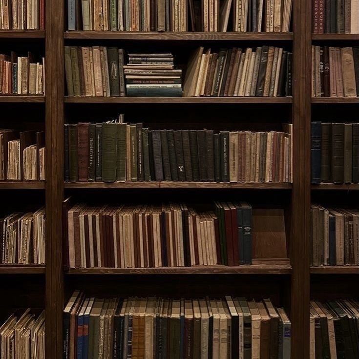 𓂃⊹ ࣪⭒livros lidos em 2026
                      — a thread 🫧
͏͏ ͏ ͏ ͏ ͏ ͏ ͏