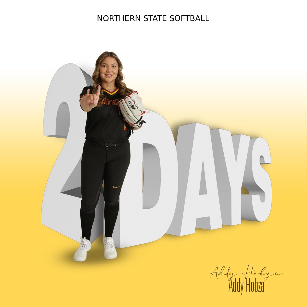 NSU Softball🥎 tweet media