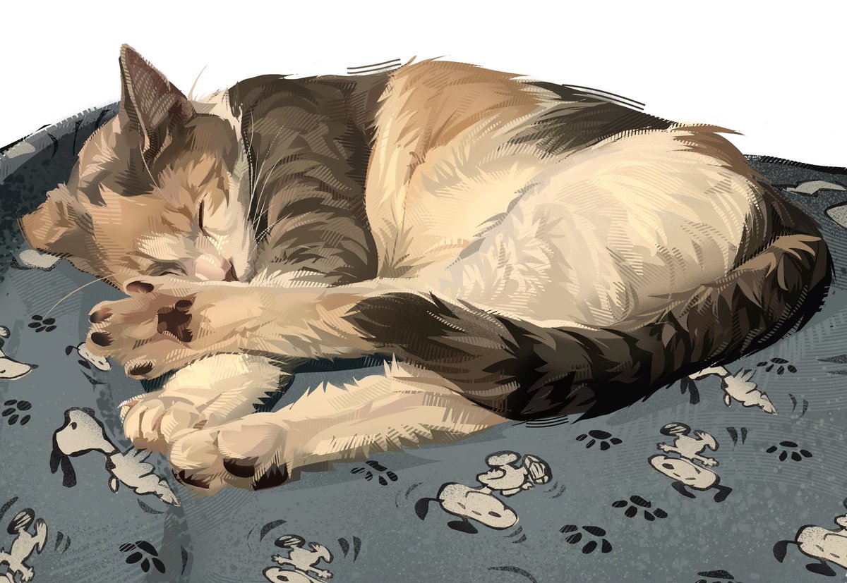 lizon_breketon's tweet image. Cozy