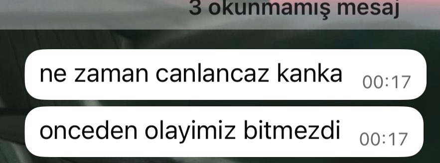 bumelekkim's tweet photo. bir süredir sessiz sakin hayatlar yaşadığımız için arkadasım https://t.co/ohGZVqoPLM