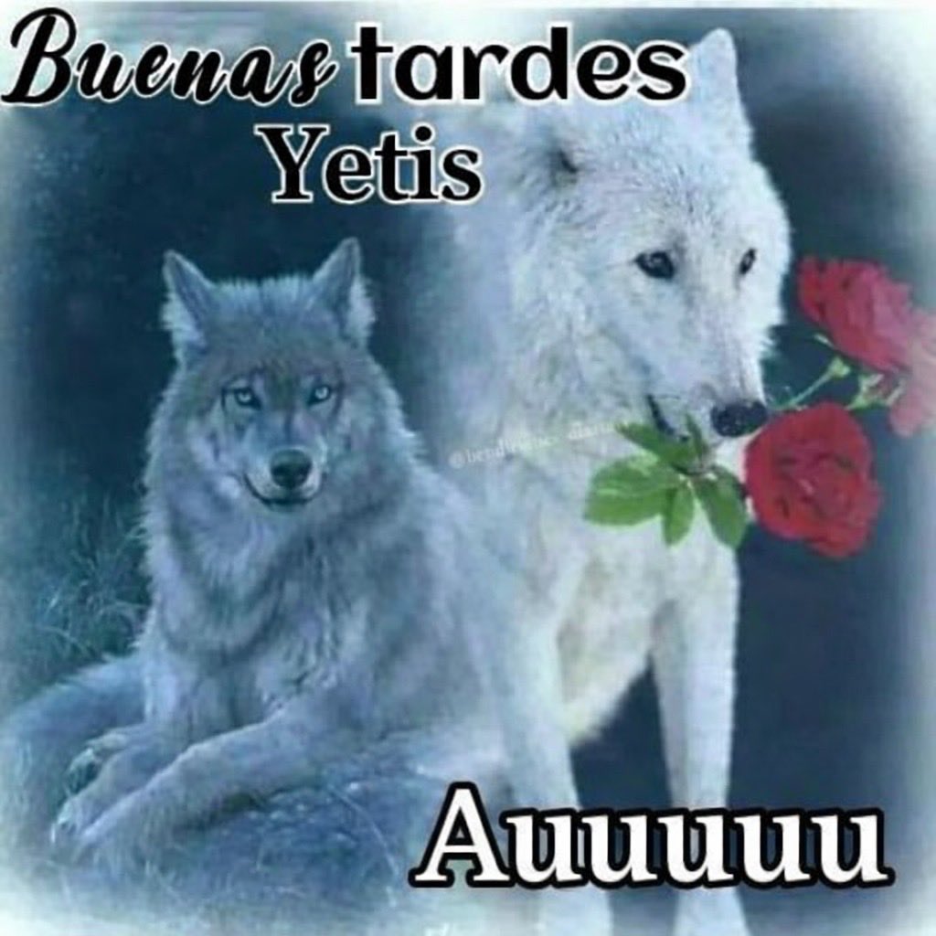 Vamos a la mitad de la campaña muchas gracias por el apoyo 2/3 ,muchas gracias por el apoyo :)