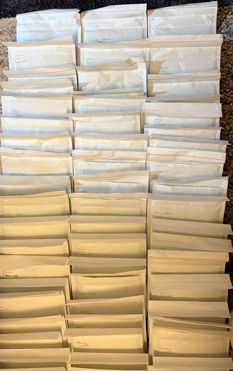 Dradadadadadadadadadaaa 🥀🪩🇵🇸 tweet media