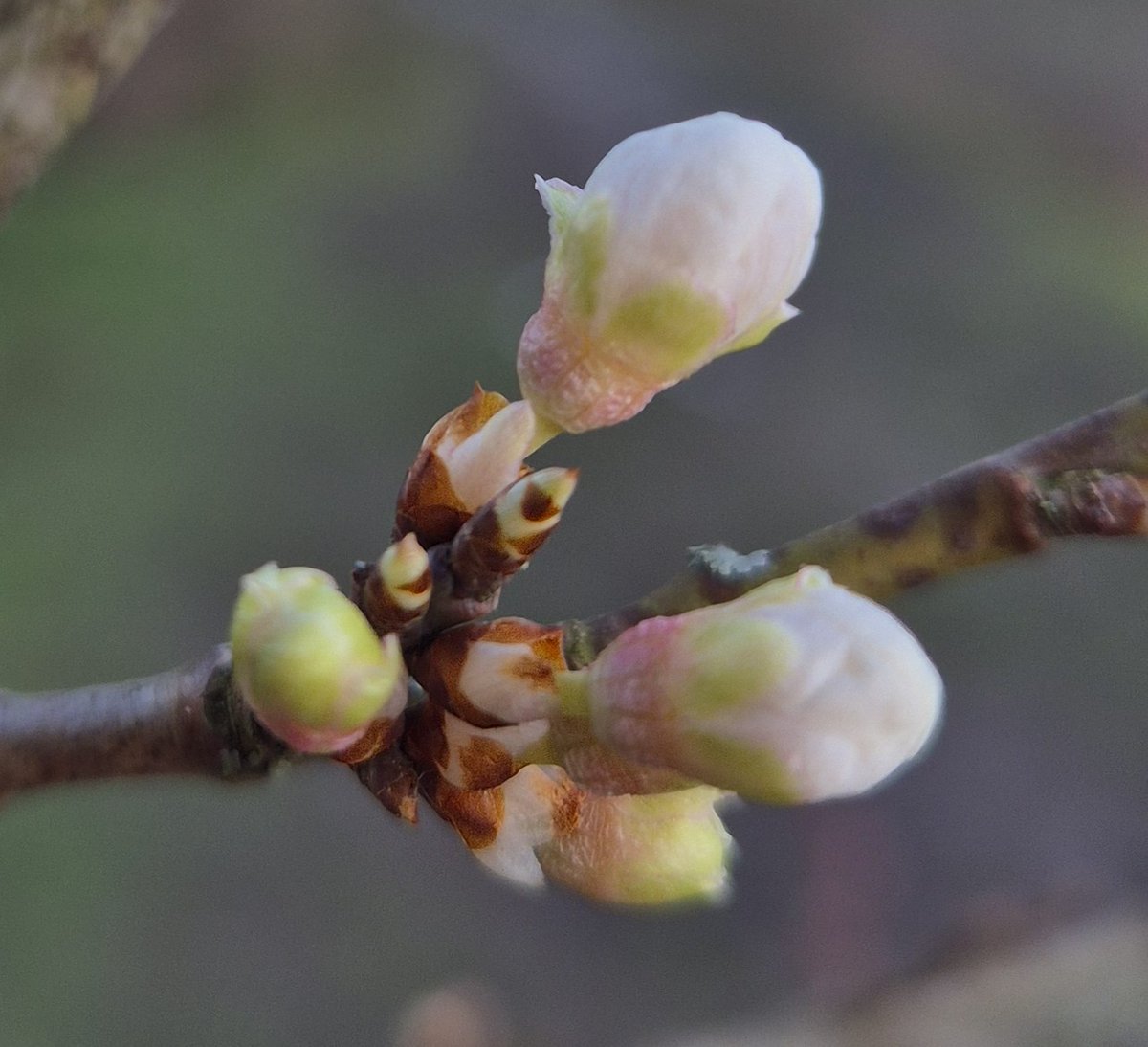 Wendy Tobitt 💙 tweet media