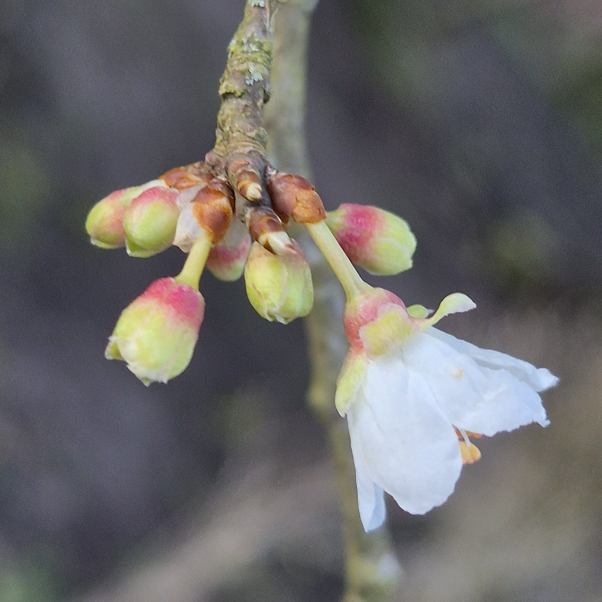 Wendy Tobitt 💙 tweet media