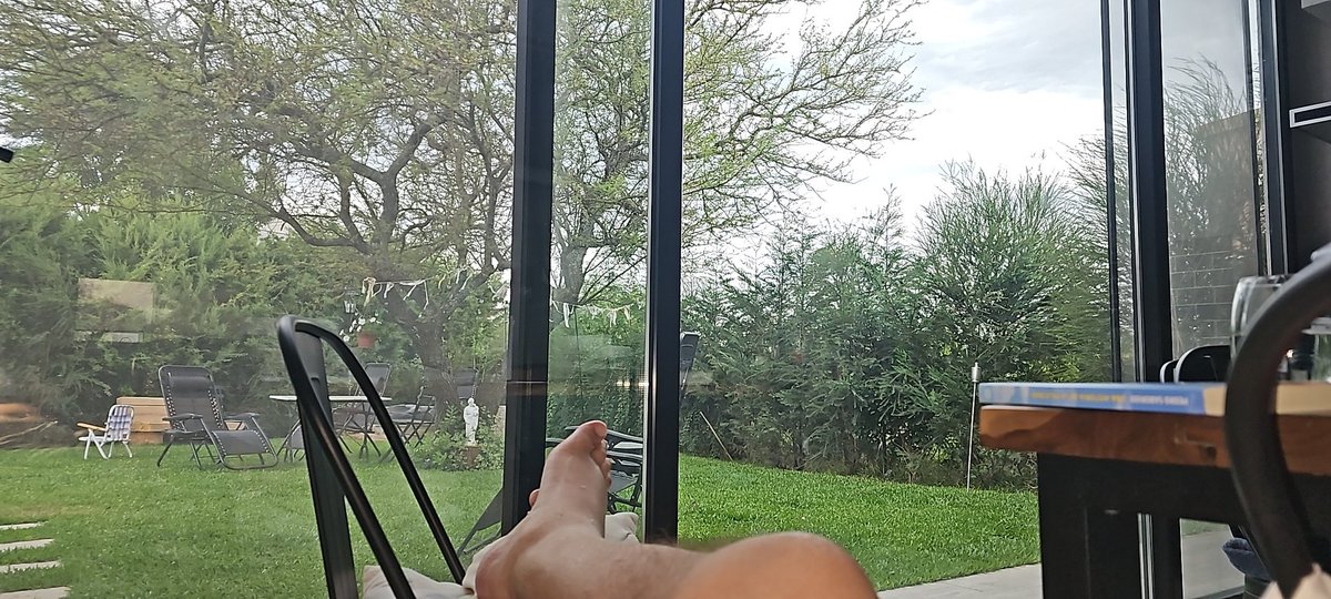 56 años, muxho aprendizaje, contento por gente que esta sana, esperando llegar una silla de paseo. El árbol? Espinillo o aromo. La vida va! A vivirla! #LaVidaEsHoy