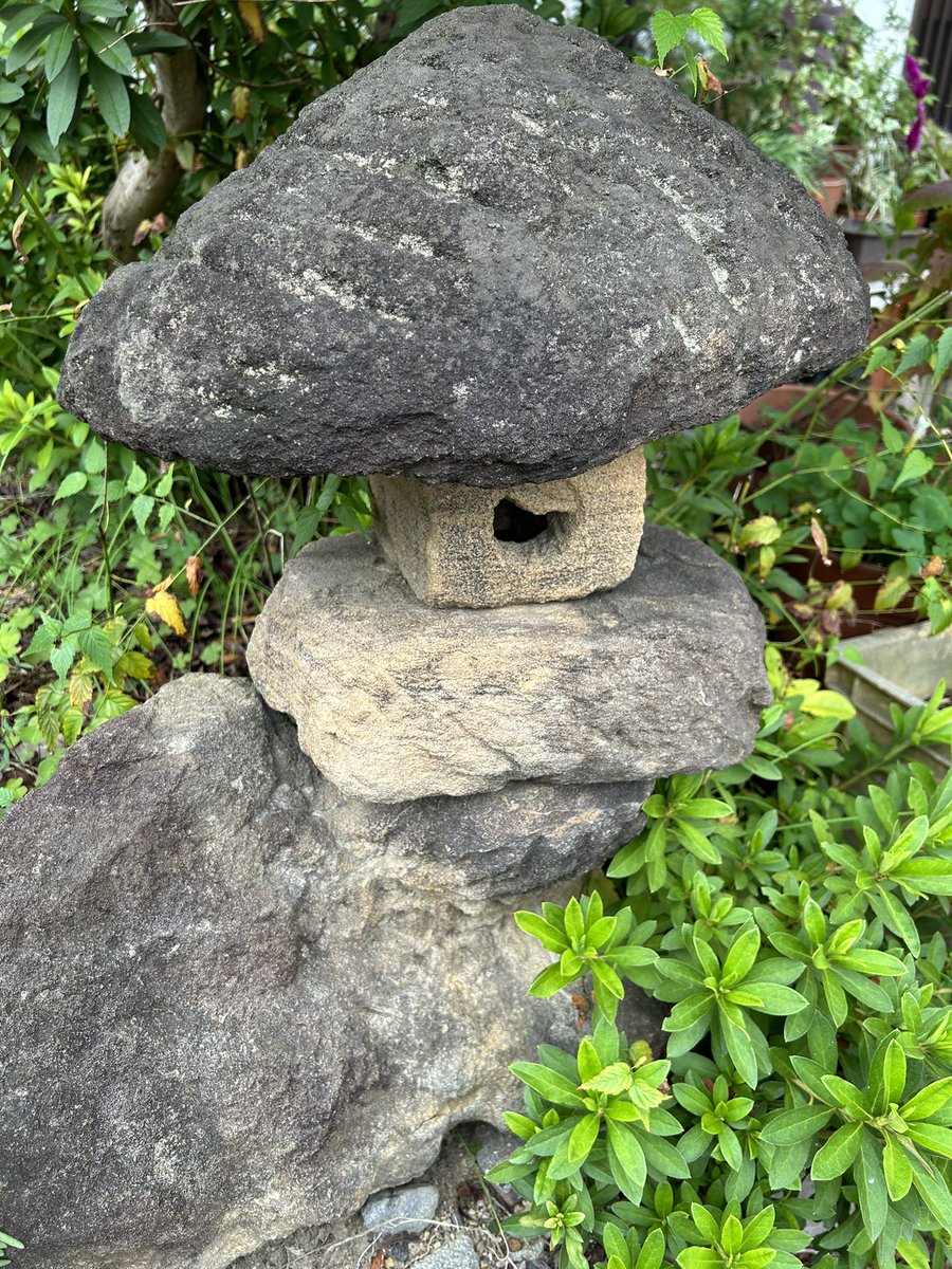 何故か？🍢を連想しちゃいます😄