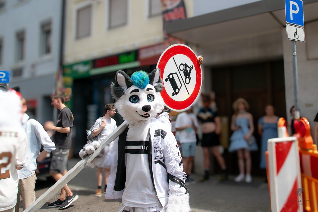 WhitePoint | The Local Arctic Fox tweet media