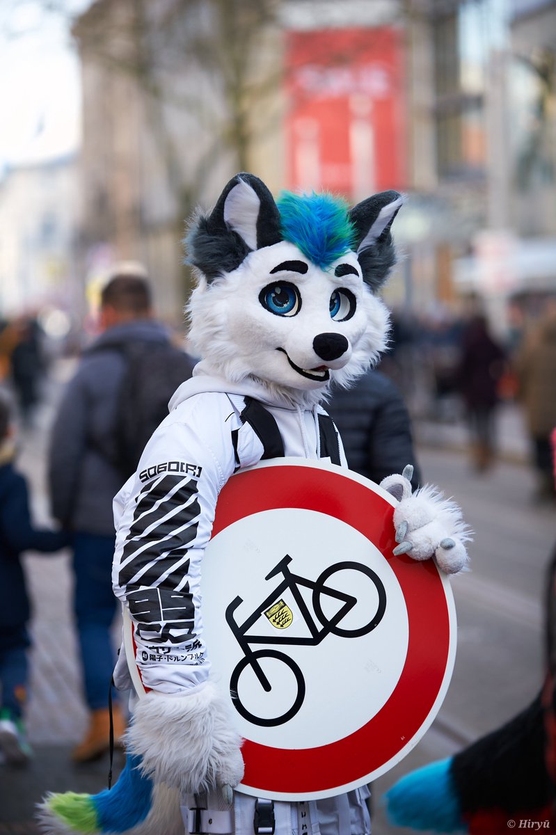 WhitePoint | The Local Arctic Fox tweet media