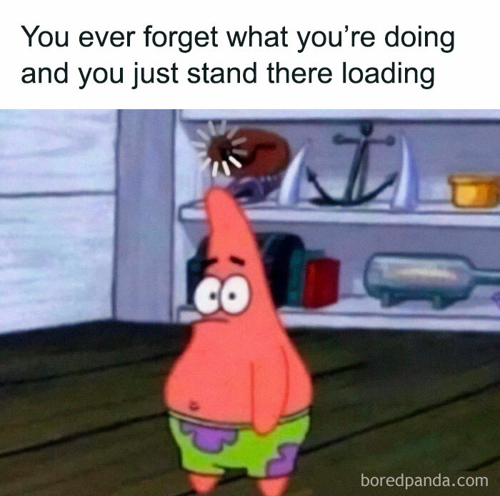 Bengal Spirit tweet media