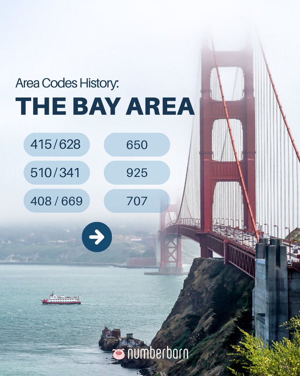 NumberBarn tweet media