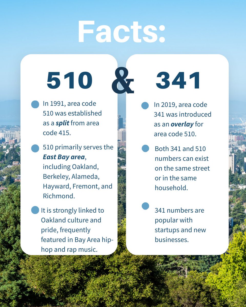 NumberBarn tweet media