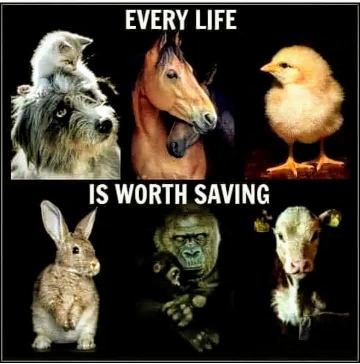 💚💚💚💚💚💚💚💚💚💚💚💚💚💚