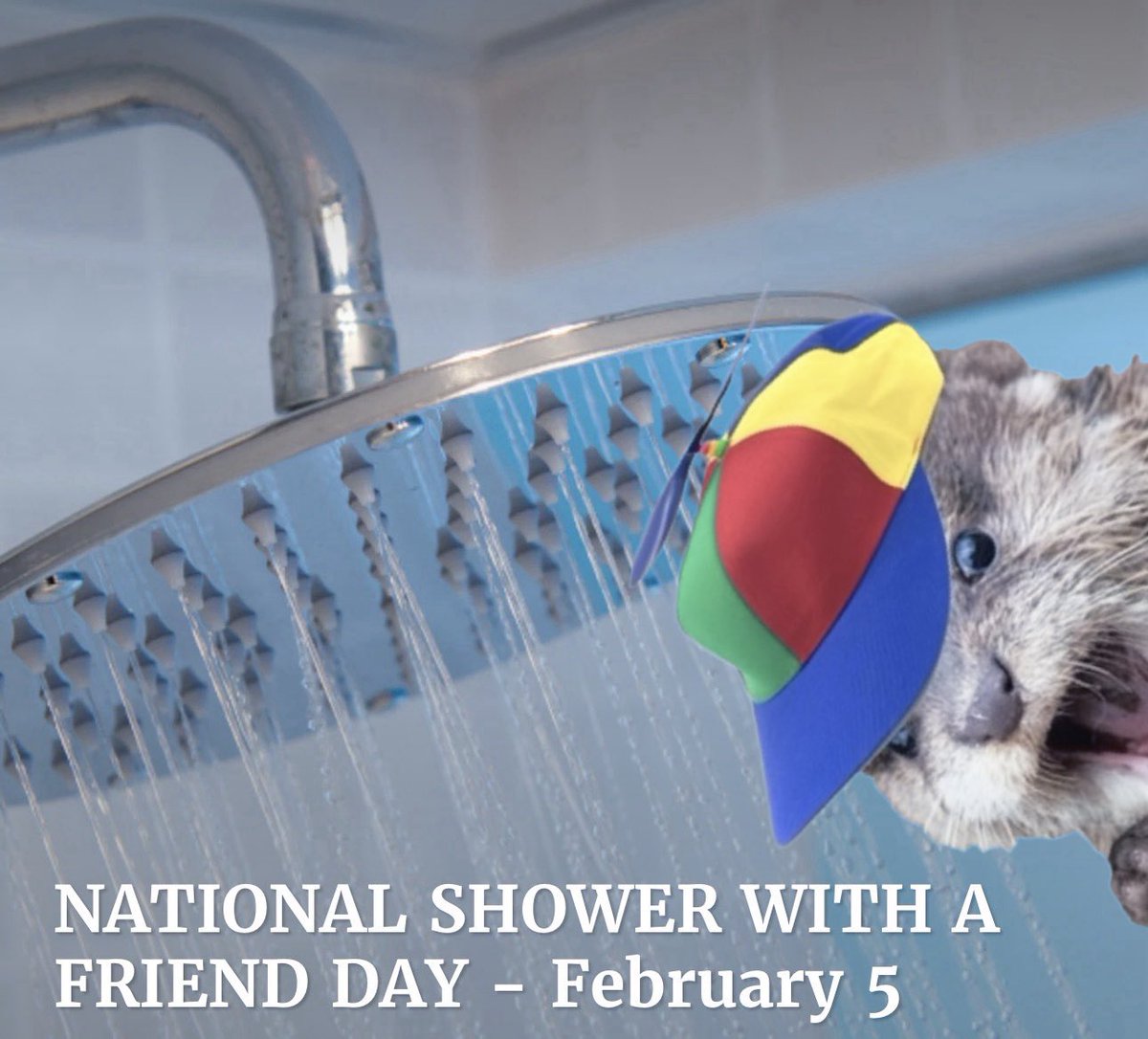 sh!tpostotter tweet media